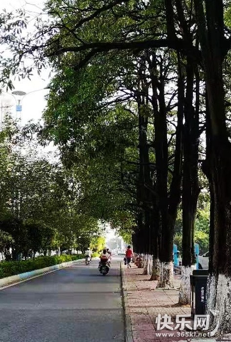 微信图片_20210715171510_副本.jpg