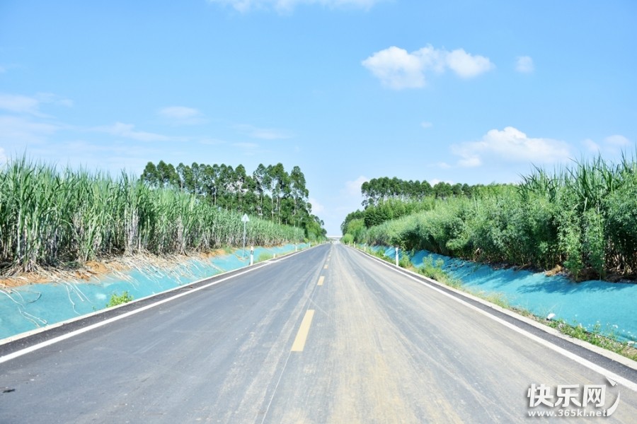 DSC_2692_副本.jpg