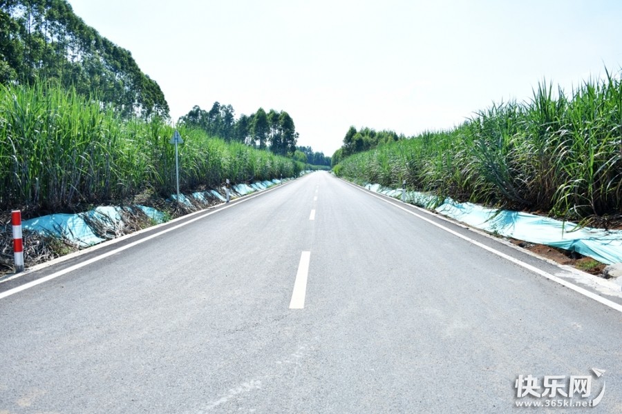 DSC_2688_副本.jpg