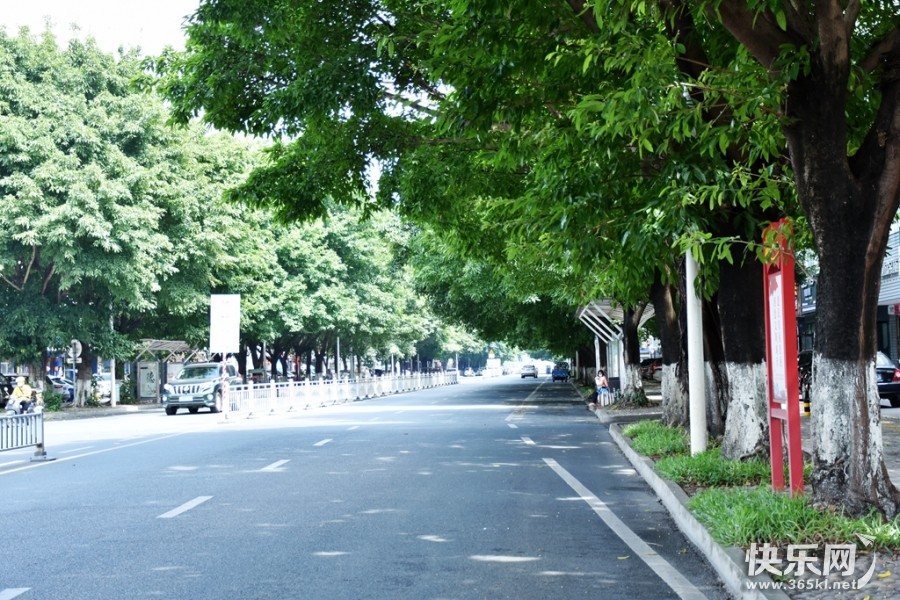 DSC_2931_副本.jpg