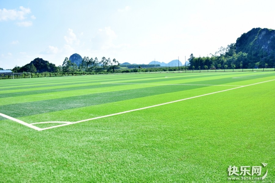 DSC_2749_副本.jpg