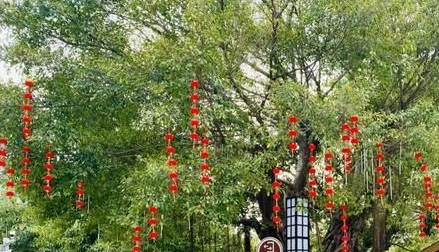 QQ图片20210930180313.png