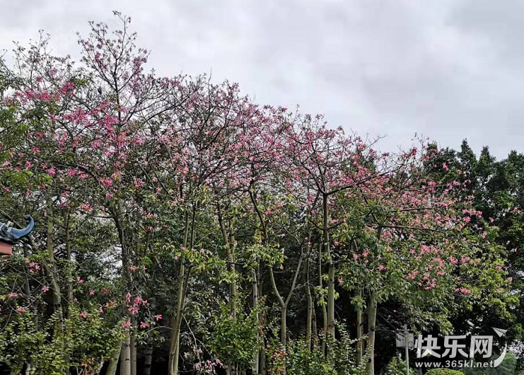 QQ图片20211010161135.png