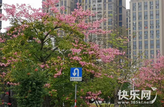 QQ图片20211115164744.png
