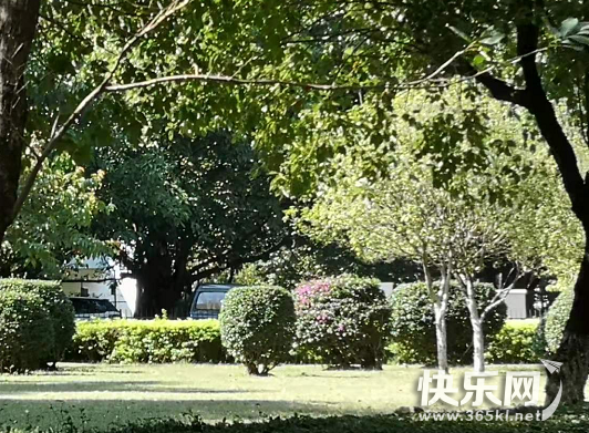 QQ图片20211124174405.png