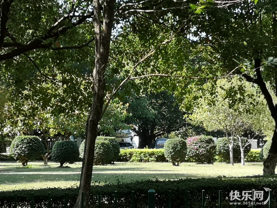 微信图片_20211124174413.jpg
