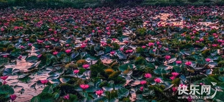 640.webp (5)_副本.jpg