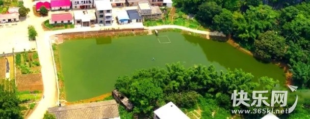 640.webp (6)_副本.jpg
