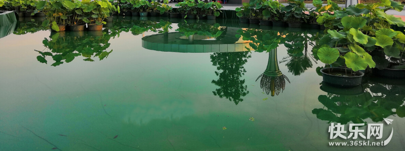 QQ图片20220111160831.png