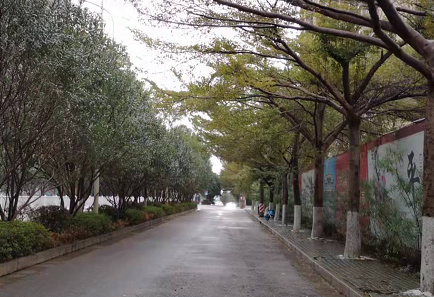 QQ图片20220129161820.png