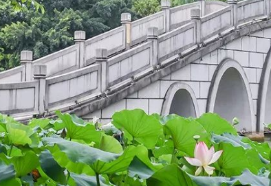 QQ图片20220224165934.png