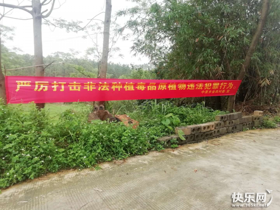 图片2.png