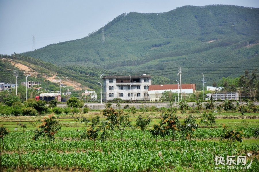 DSC_1834_副本.jpg