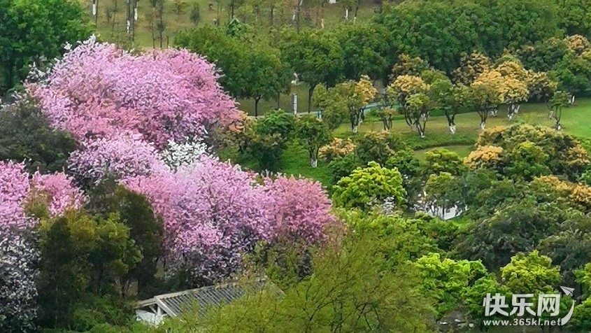 1648375103560968_431_副本.jpg