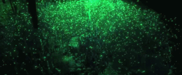 微信图片_20220423182006.gif