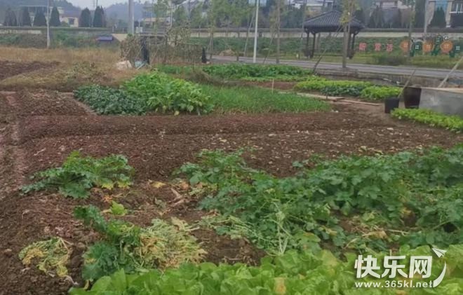 下载.jpg