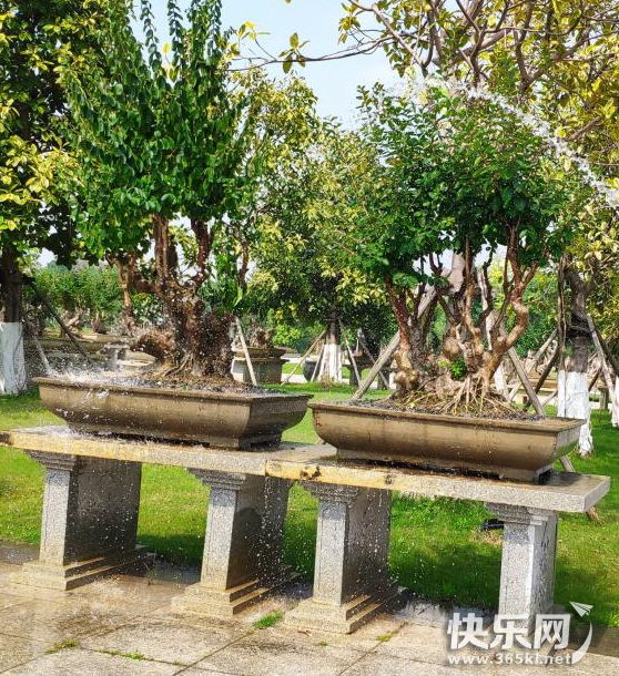 QQ图片20220505173811.png