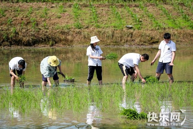 下载.jpg
