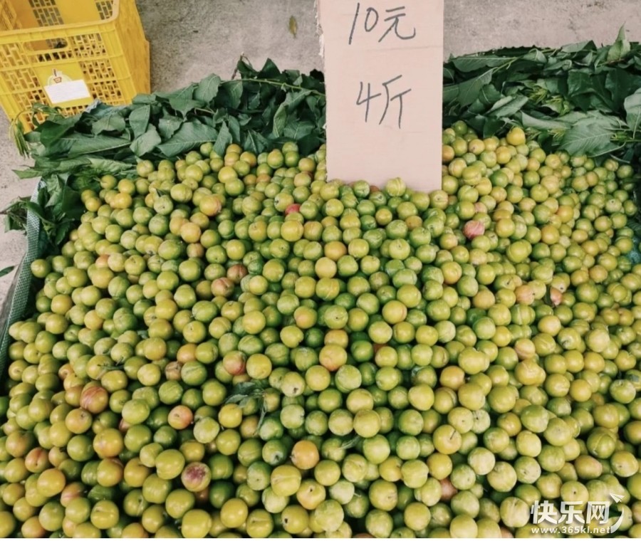 微信图片_20220510154005.jpg