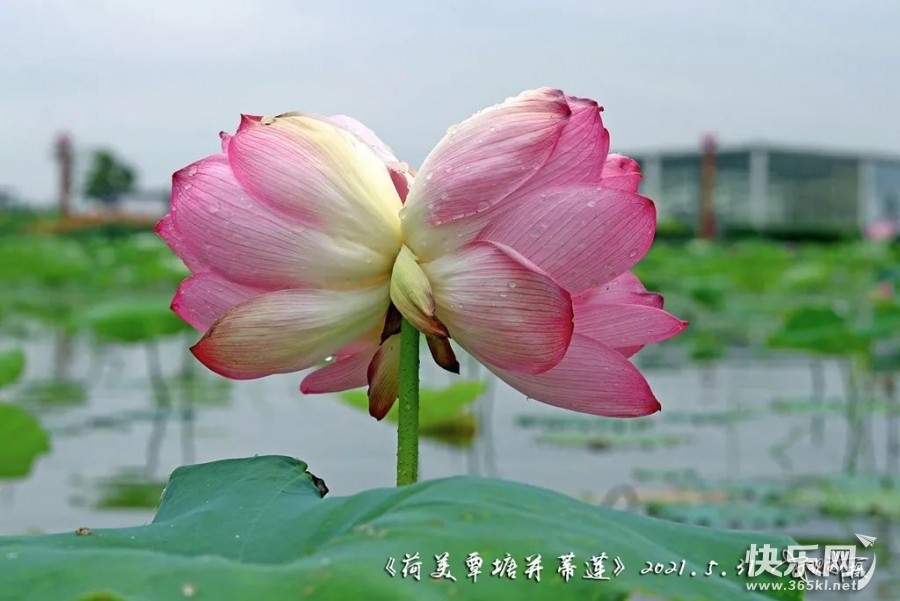 微信图片_20220523085049.jpg