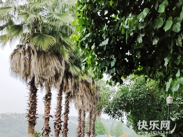 微信图片_20220522173328_副本.jpg