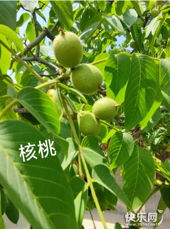 微信图片_20220623094324.png