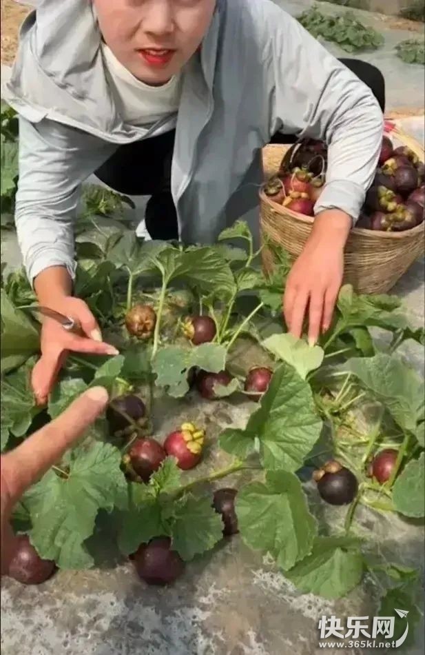微信图片_20220623094330.jpg