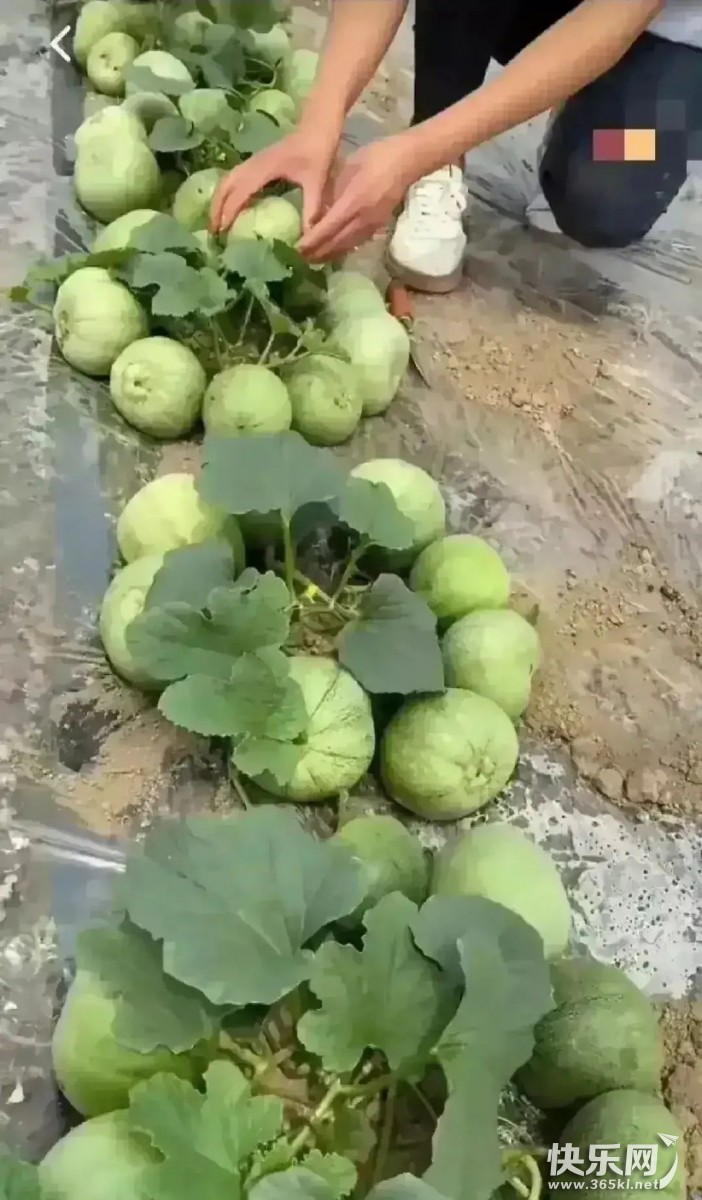 微信图片_20220623094345.jpg