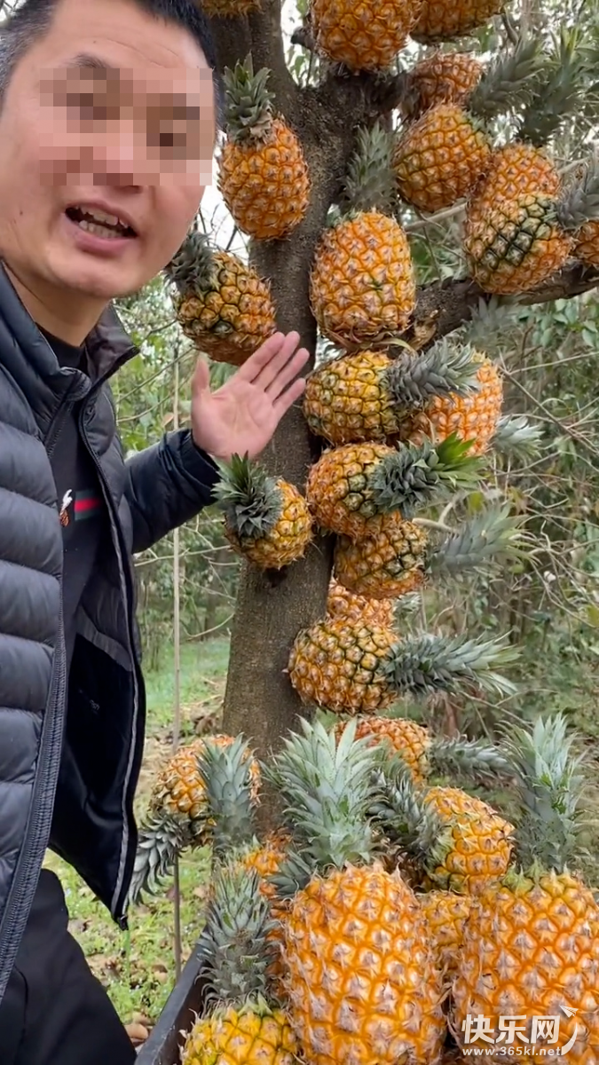 微信图片_20220623094349.png