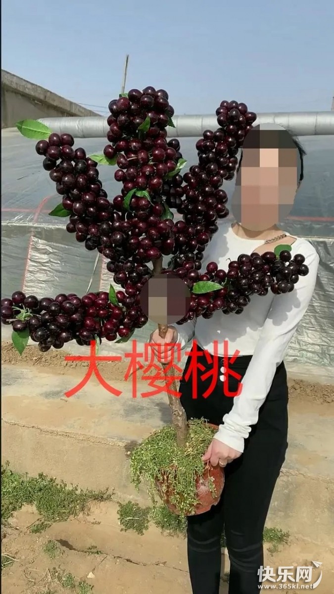 微信图片_20220623094438.jpg