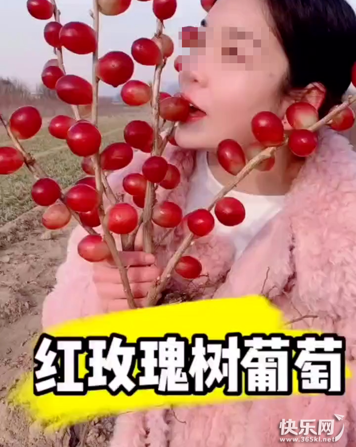 微信图片_20220623094446.png