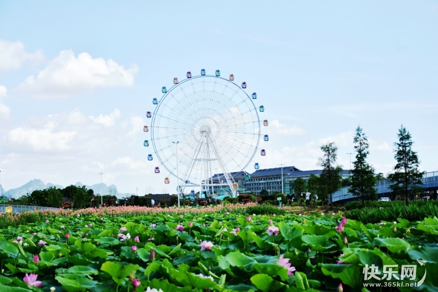 DSC_4265_副本.jpg