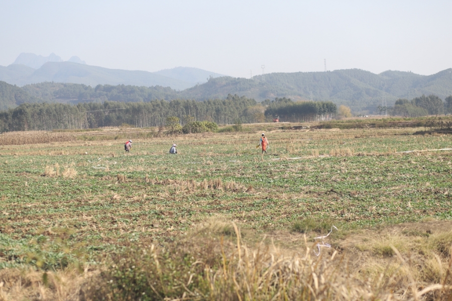 IMG_4560_副本.jpg