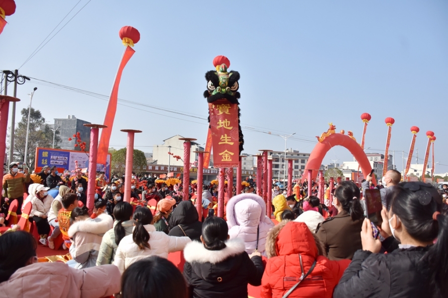 DSC_5528_副本.jpg