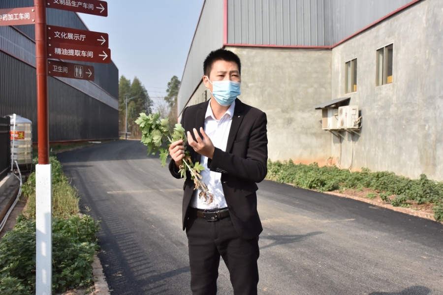 DSC_5701_副本.jpg