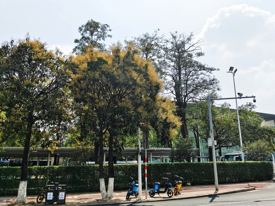 微信图片_20230309151909.jpg