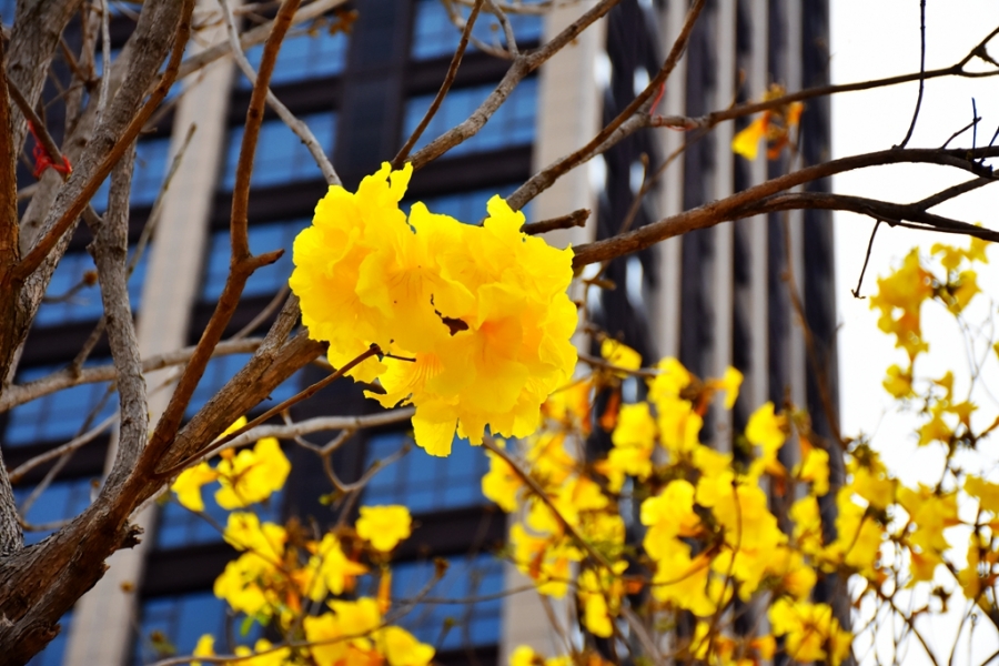 DSC_7598_副本.jpg