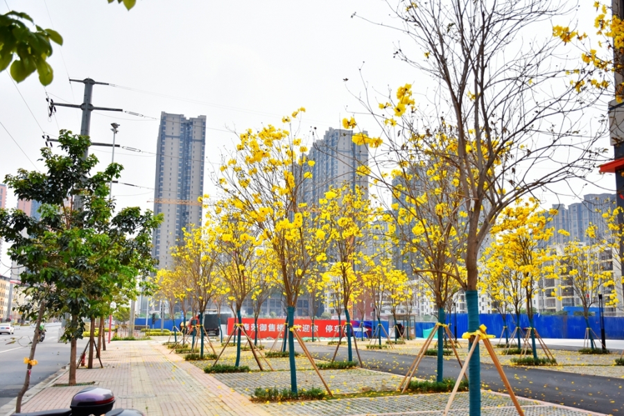 DSC_7596_副本.jpg