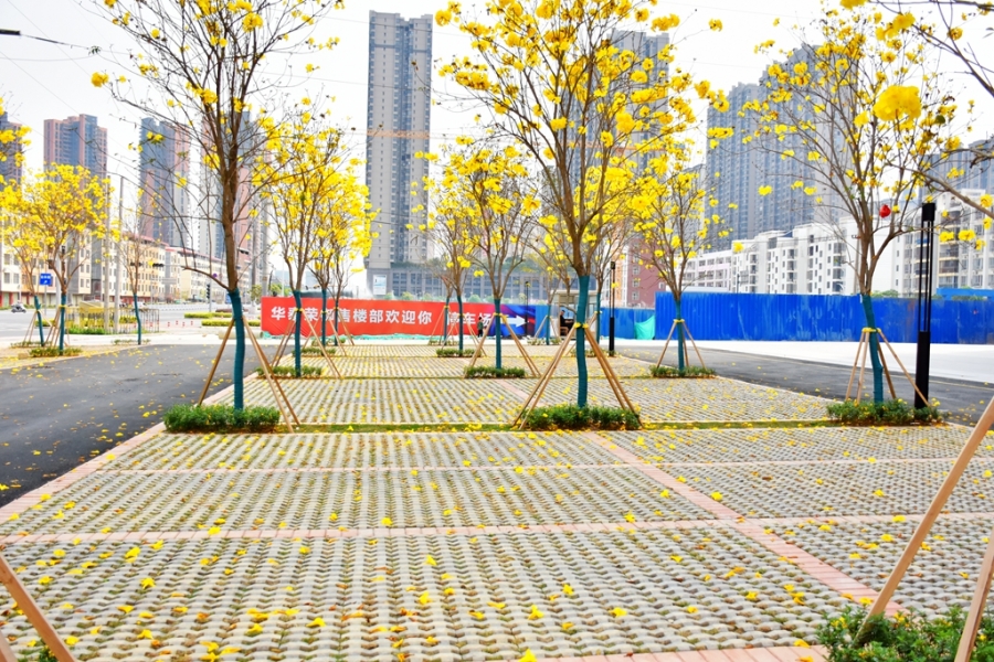 DSC_7612_副本.jpg