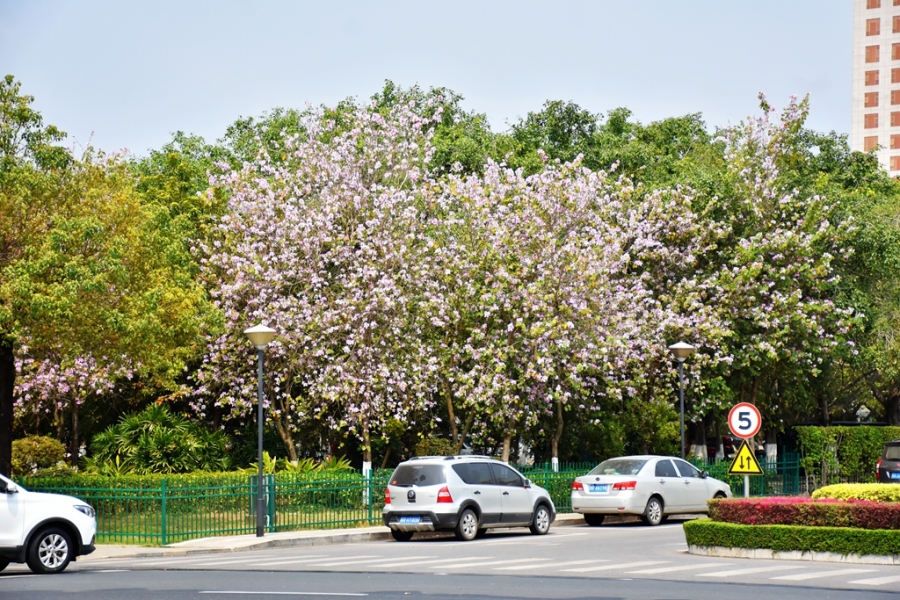 DSC_7628_副本.jpg