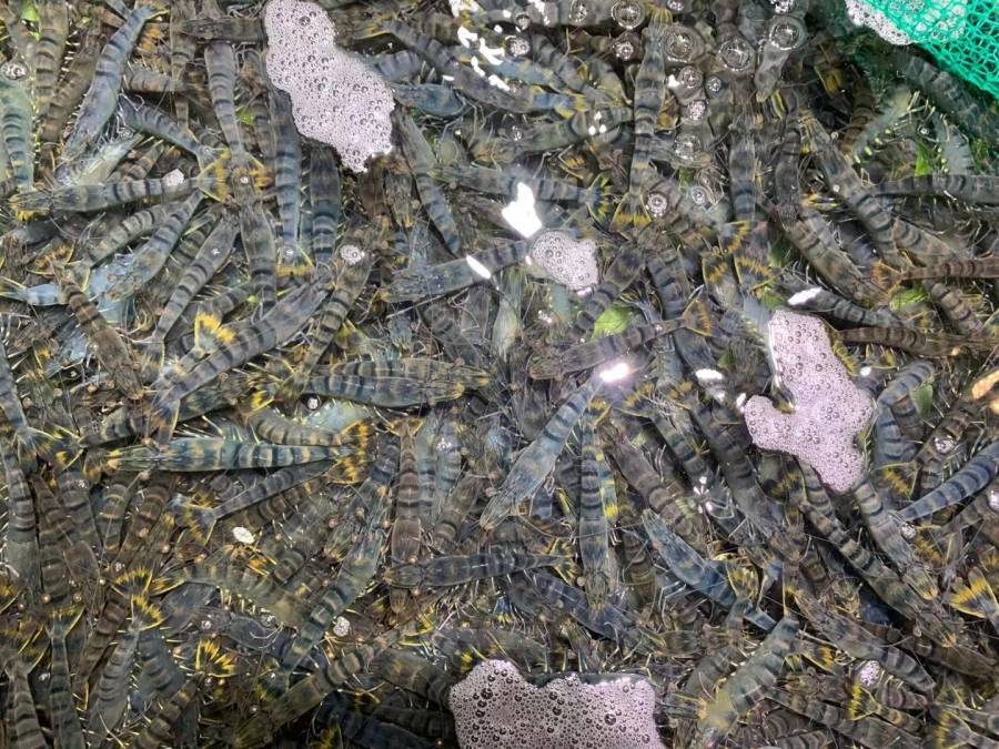 微信图片_20230420153517.jpg