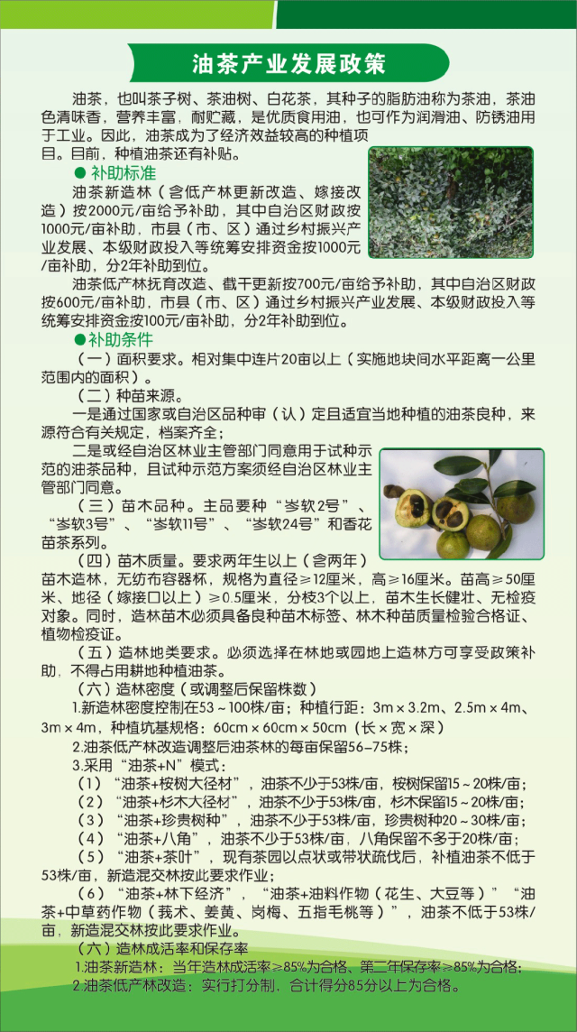 295329e9da4d398aa9807cb1e20acdda.png