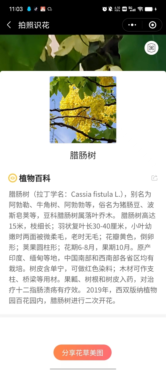 微信图片_20230602110730.jpg