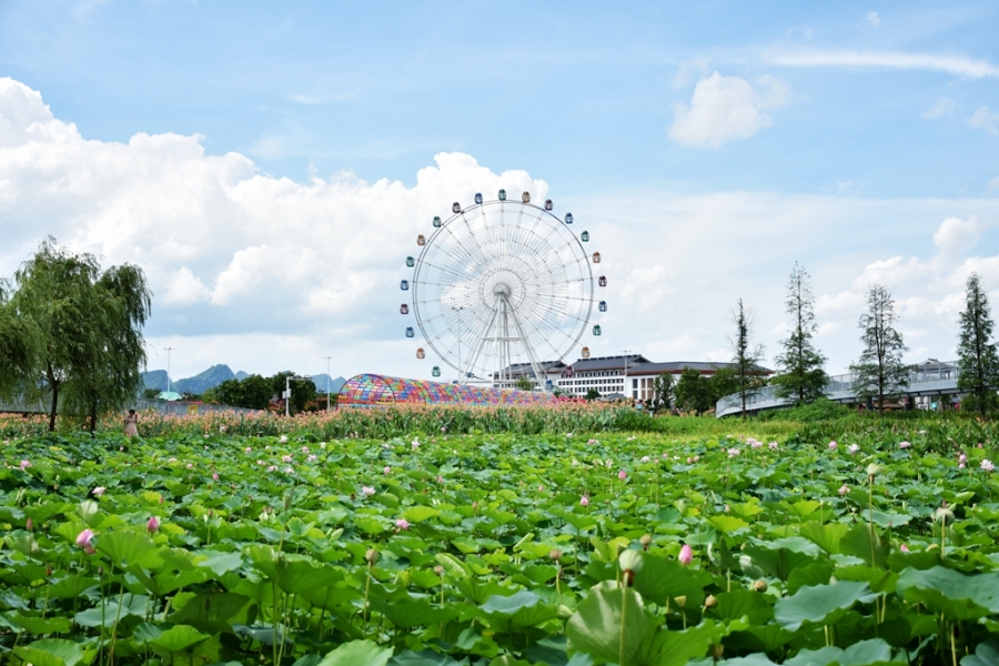 DSC_8694_副本.jpg