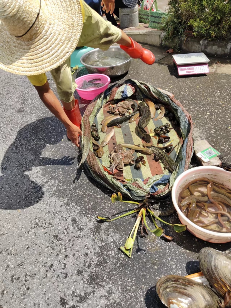 微信图片_20230719154220.jpg