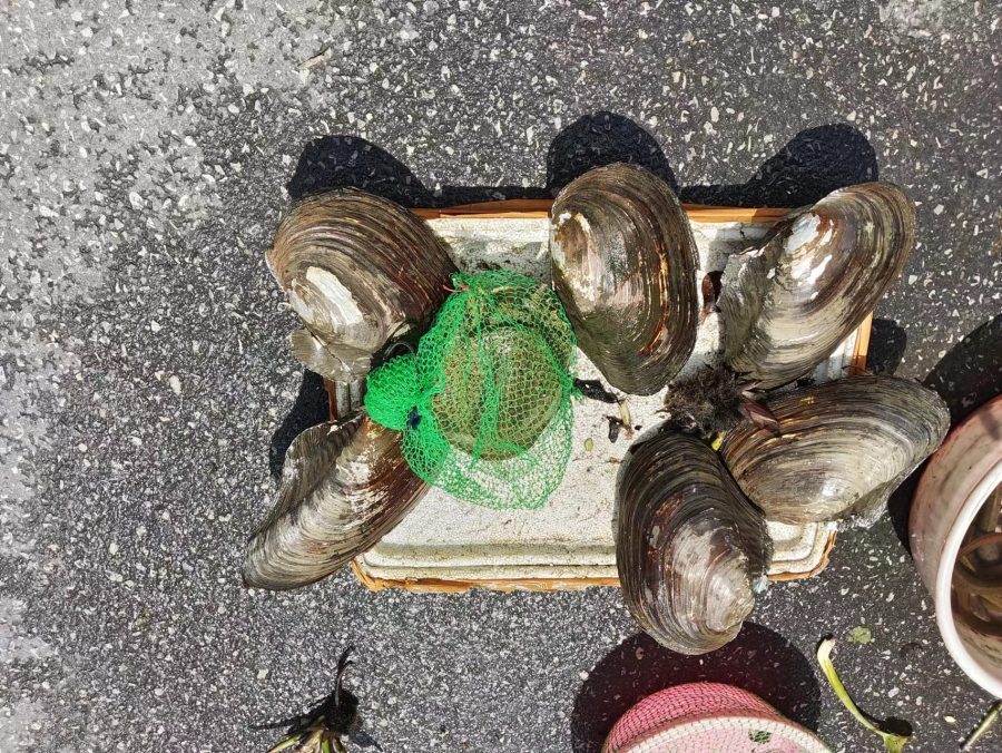 微信图片_20230719154228.jpg