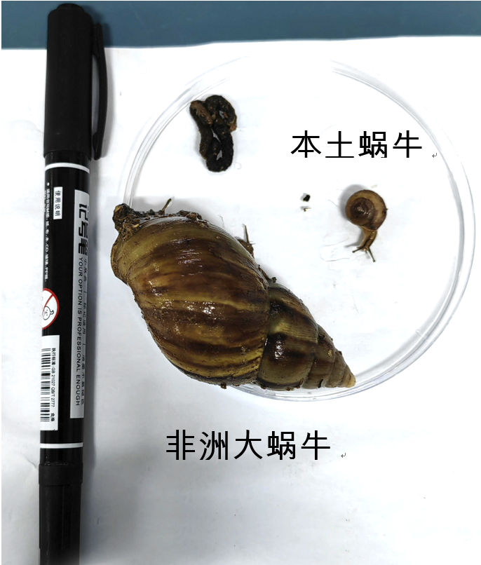 f0a360c4abea2705d93d89b5d27b5669.png