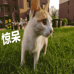 9f32c35647fda33e499acb805b3c7a32.png