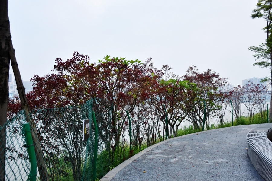 DSC_4381_副本.jpg