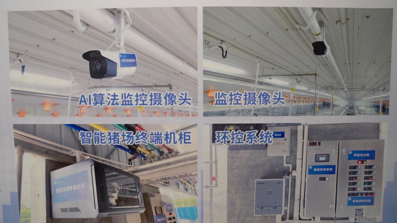 f719370d2bb75fa2d51c98bed03da165.jpg